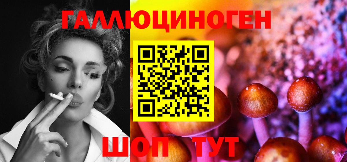 закладки  Вход с VPN  Якутск  Галлюциногенные грибы GOLDEN TEACHER 
